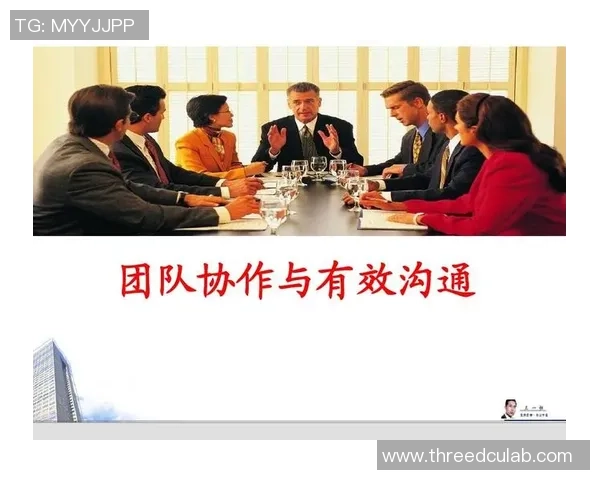 以Meiko辅助为核心解析其在团队协作与战略布局中的关键作用