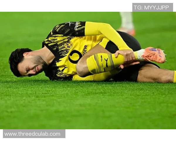 多特蒙德足球俱乐部的辉煌历史与未来展望分析 多特蒙德足球俱乐部的辉煌历史与未来展望分析