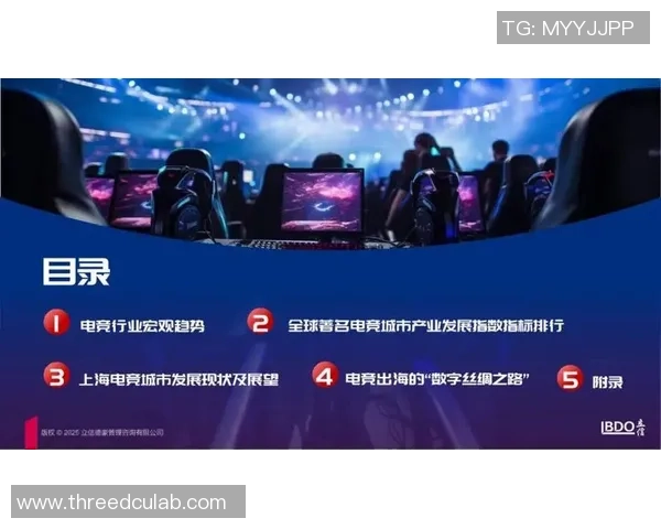 电竞行业崛起带动数字娱乐革命如何改变全球文化与经济格局