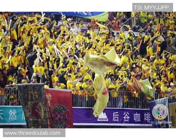 绿茵争锋世界豪强逐梦巅峰激情点燃足球盛宴