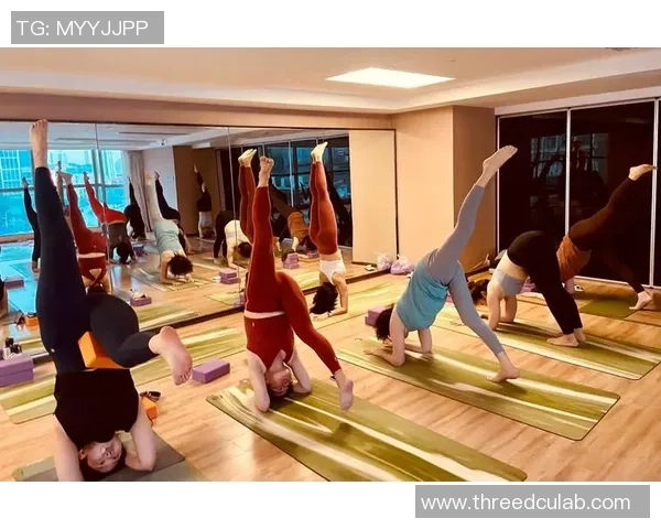 运动改变生活：从健身到竞技，探索身体与心灵的无限可能